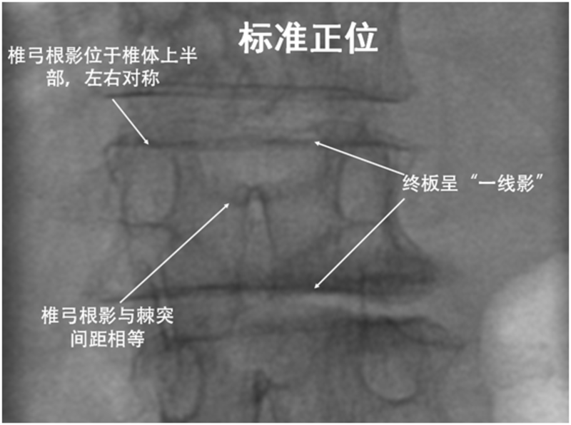 图文图片