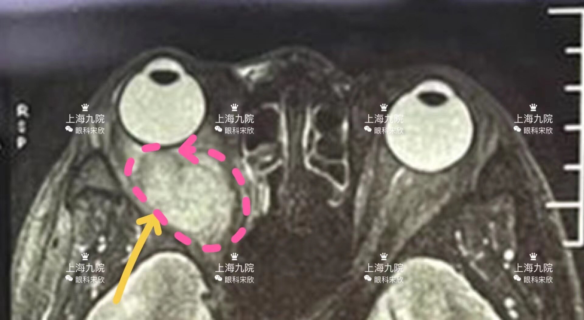 微信图片_20211103164420.jpg