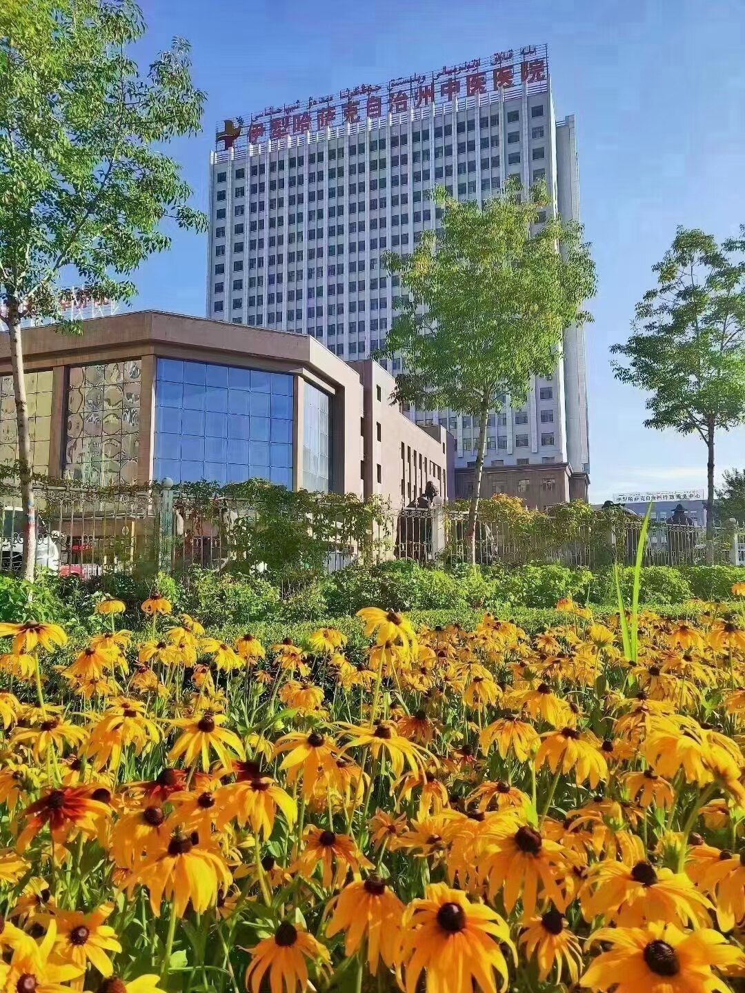 伊犁州中医医院口腔科简介 - 好大夫在线