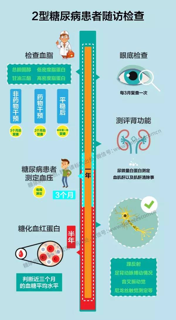 一图说明2型糖尿病患者复查项目