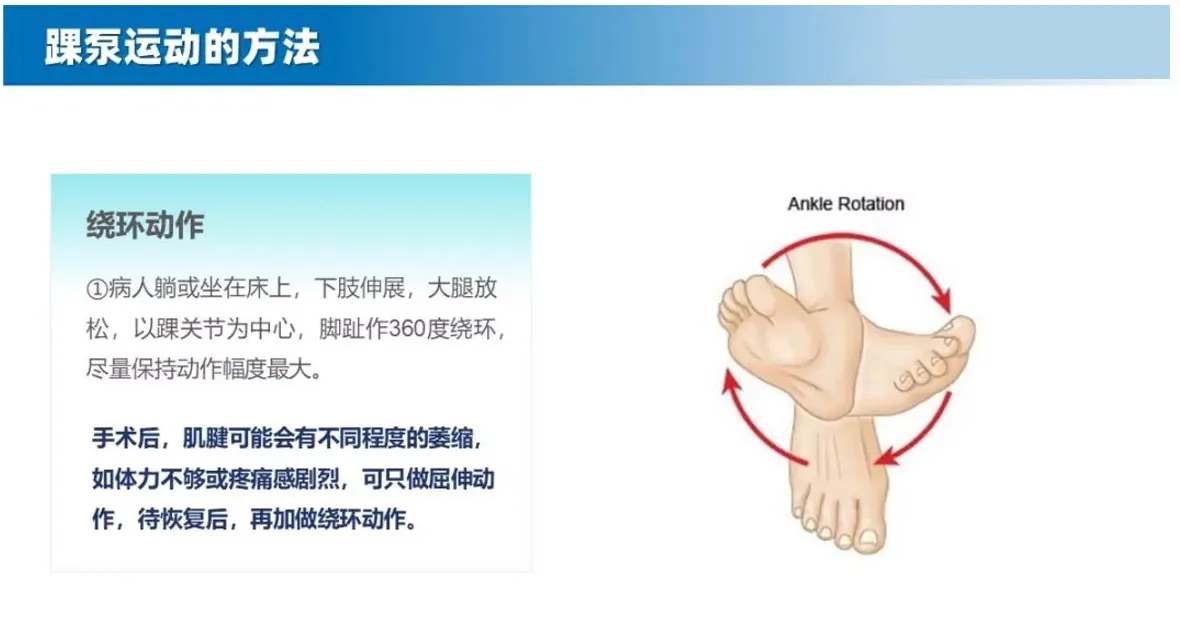踝泵运动