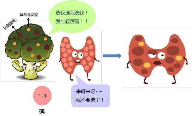 圖文圖片