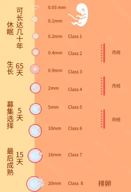 屏幕截图 2022-10-28 150639.png