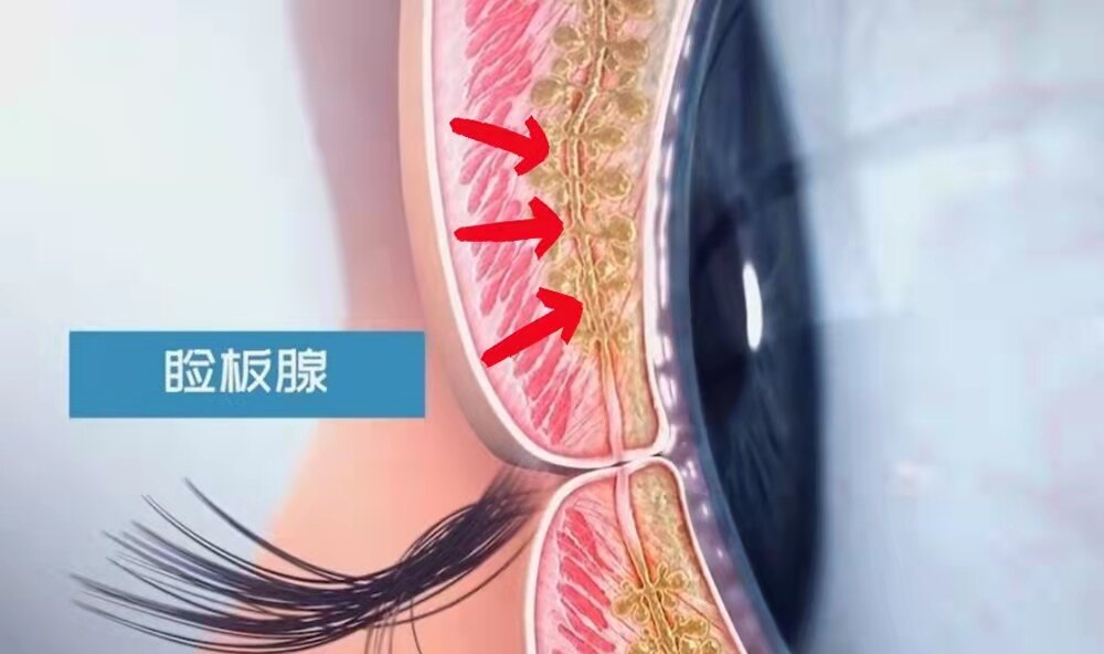 微信图片_20220204220254.jpg
