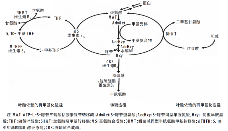 圖文圖片