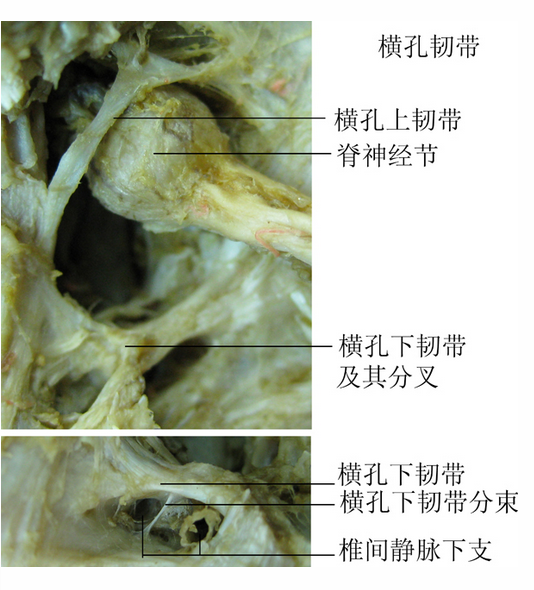 圖文圖片
