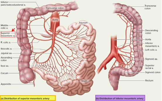 1IYBAGauTrmABmCcAAQ-uY54_VE067.png?_ms_=69d7