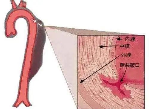 微信图片_20211215193618.jpg