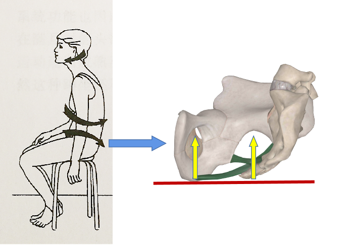 骶尾部痛与懒散坐姿_疼痛_介绍_缓解方法 - 好大夫在线