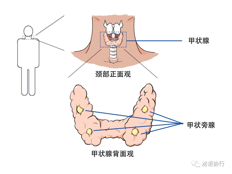 圖文圖片