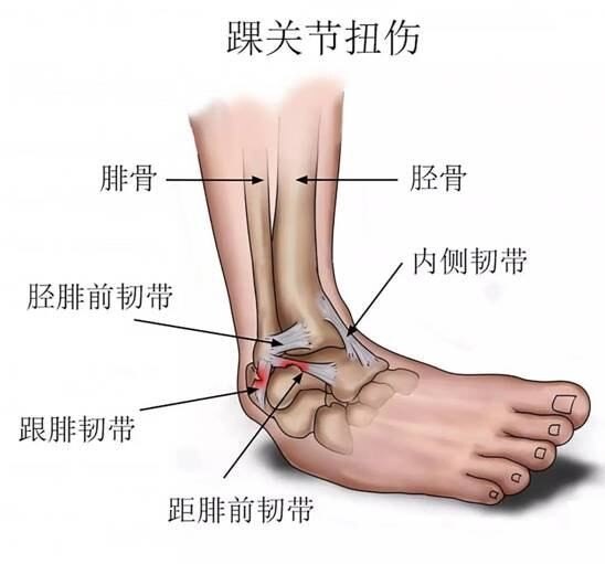 圖文圖片