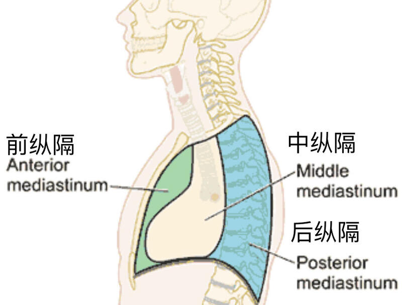 图文图片