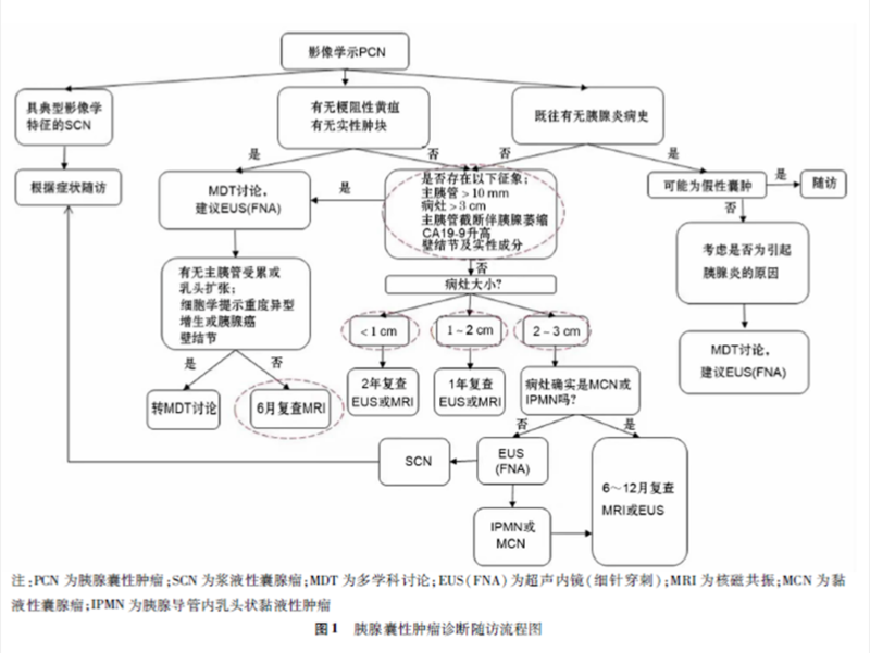 圖文圖片