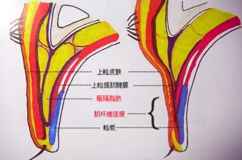 微信截图_20220531163126.png