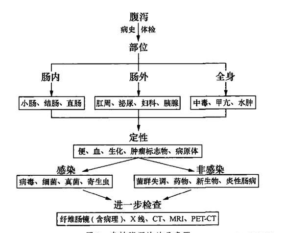 腹泻病因诊断与鉴别