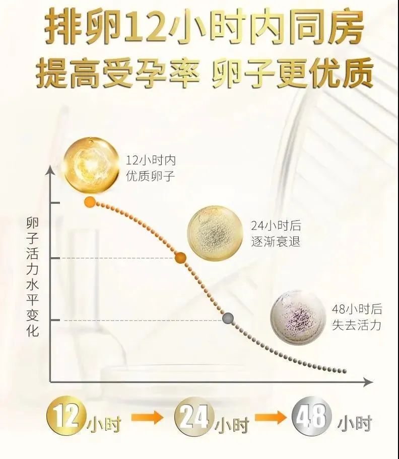 排卵黄金12小时.jpg