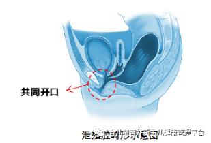 微信图片_20220803141044.png