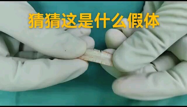 默认图片