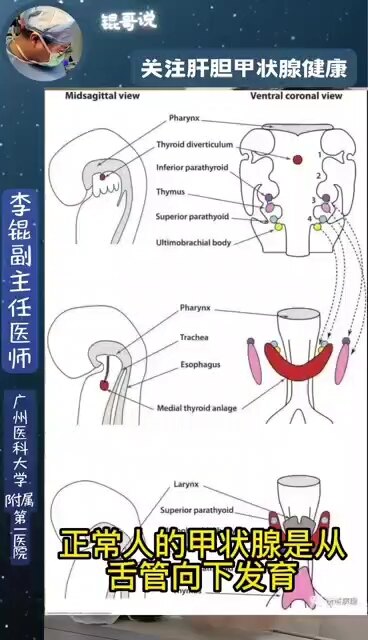 默认图片