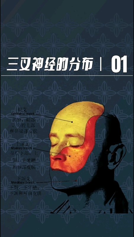 視頻封面