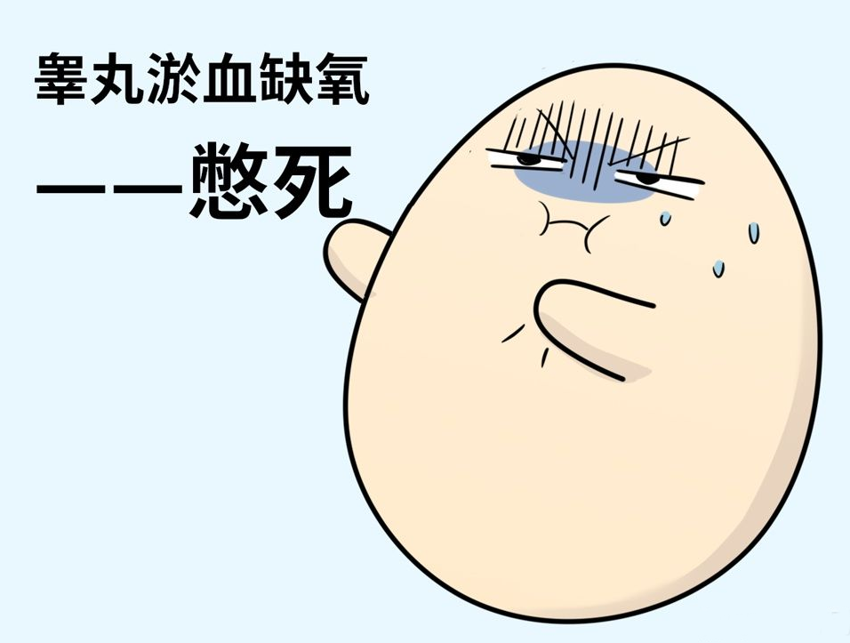 物理医用降温贴【申精宝】精索静脉曲张 不育症患者福音_精索静脉曲张