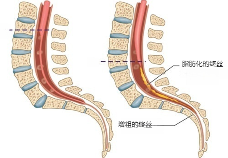 圖文圖片