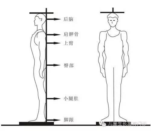 正确测量身高的方法 好大夫在线