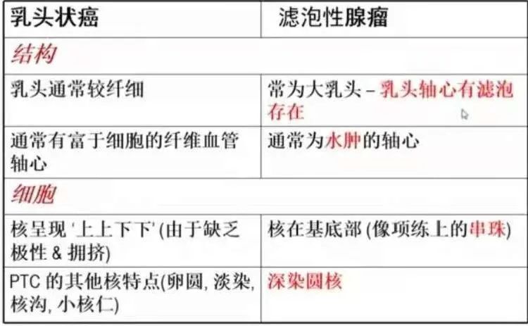 圖文圖片