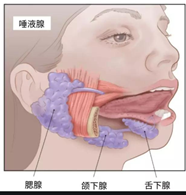 微信图片_20220105214440.png