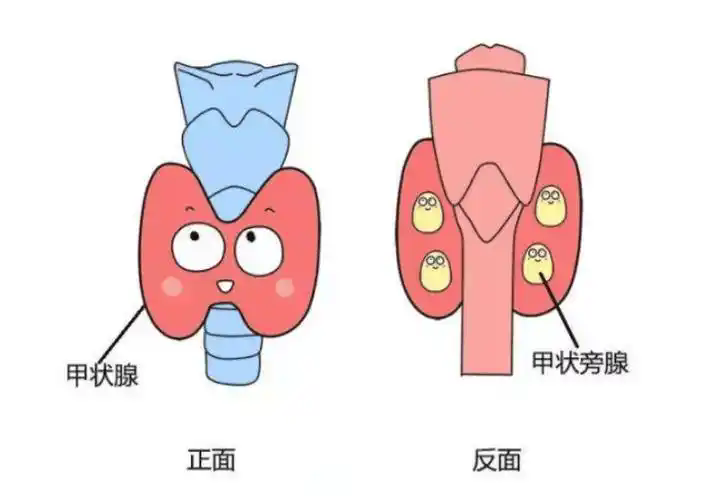 圖文圖片