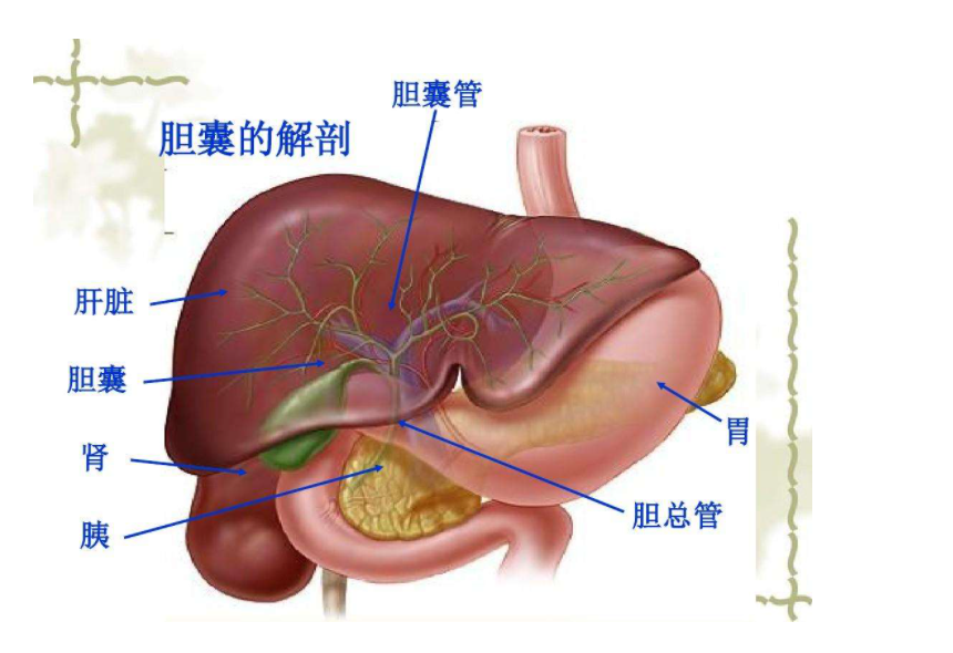 圖文圖片