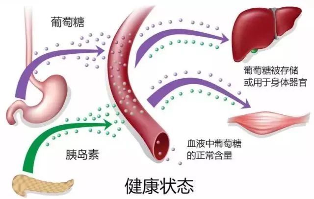 圖文圖片