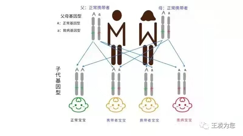 什么是基因测试 2IYBAGFnqGiAZ1WpAACFajIWGzY853.jpg?_ms_=df54