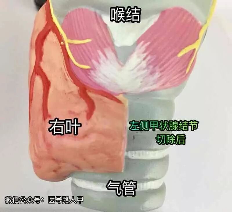 圖文圖片