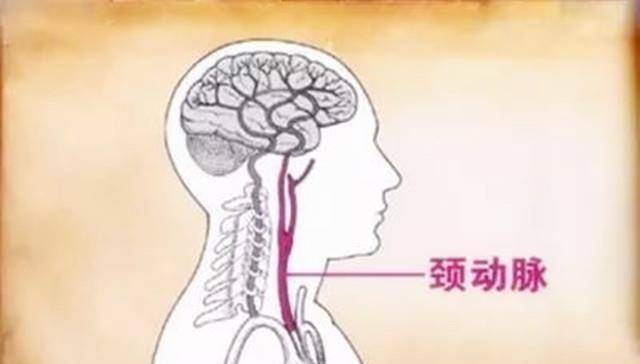 图文图片