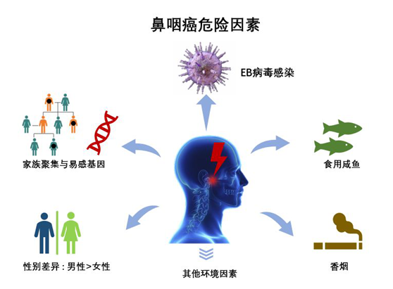 正确认识eb病毒