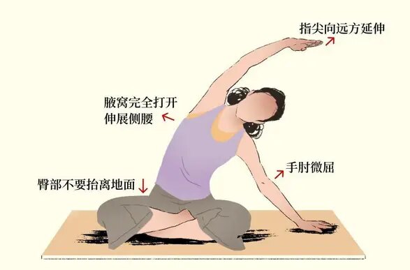 侧腰拉伸.jpg