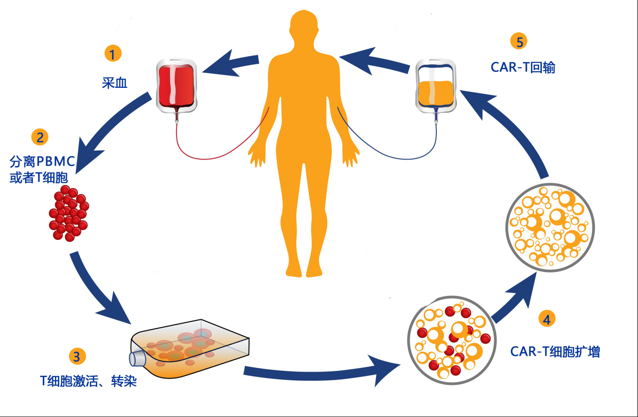 《nature reviews drug discovery》上发表的全球癌症免疫疗法的行业