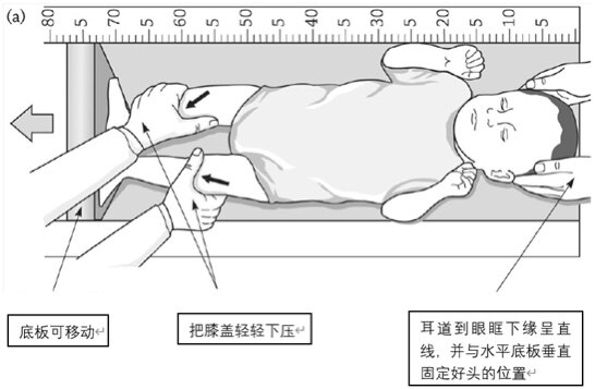 测量身高正确姿势图片