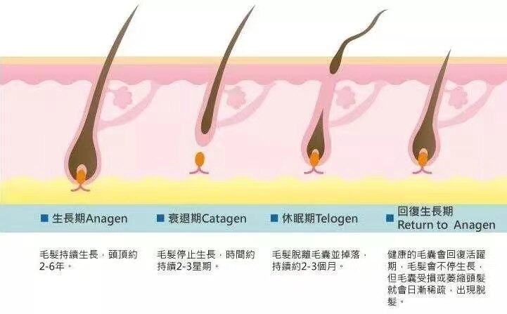 圖文圖片