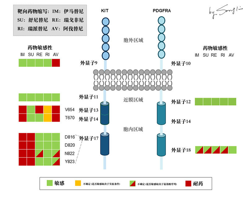 fonc.2021.672500） 拷贝.jpg