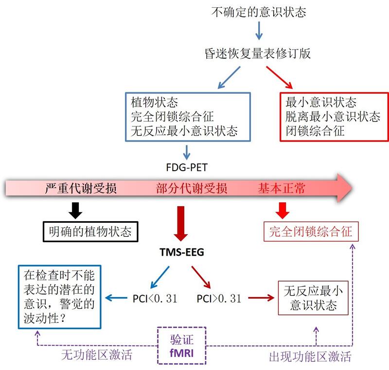 意识评估网络.jpg