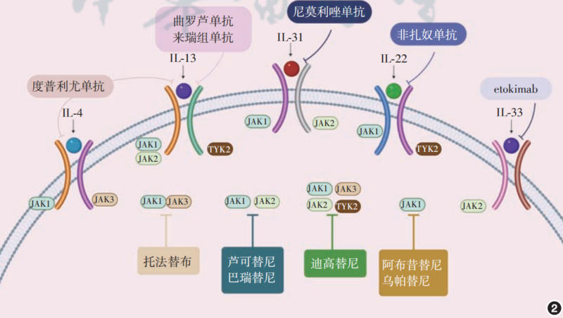 图文图片