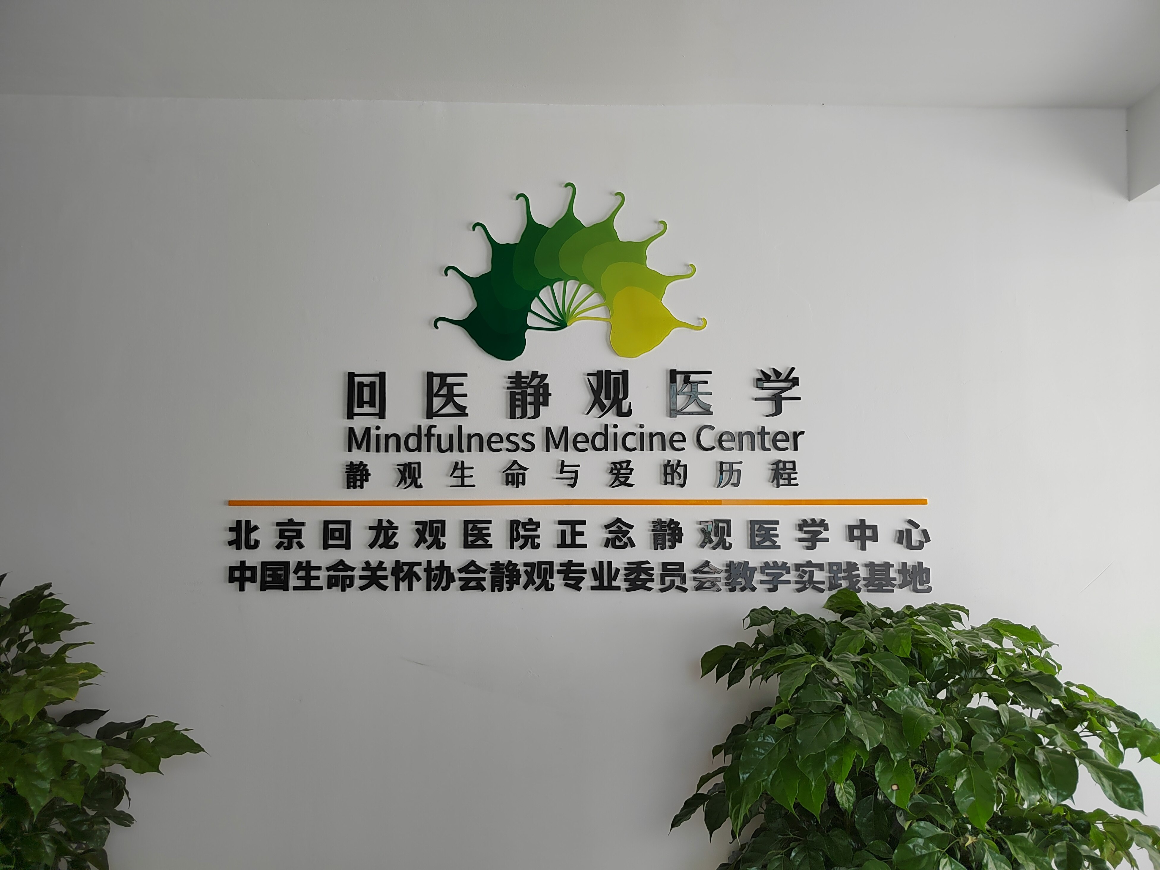 回龙观医院热门科室跑腿代办 回龙观医院热门科室跑腿代办