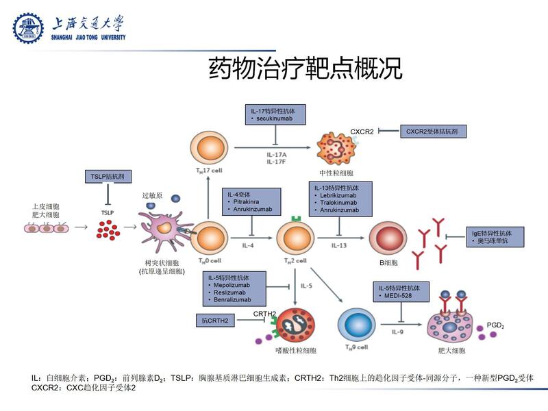 哮喘靶向药物治疗进展2024 李锋_07.jpg