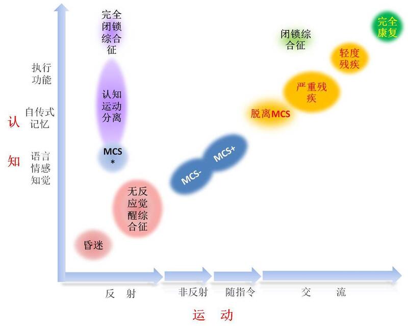 意识障碍的分类.jpg