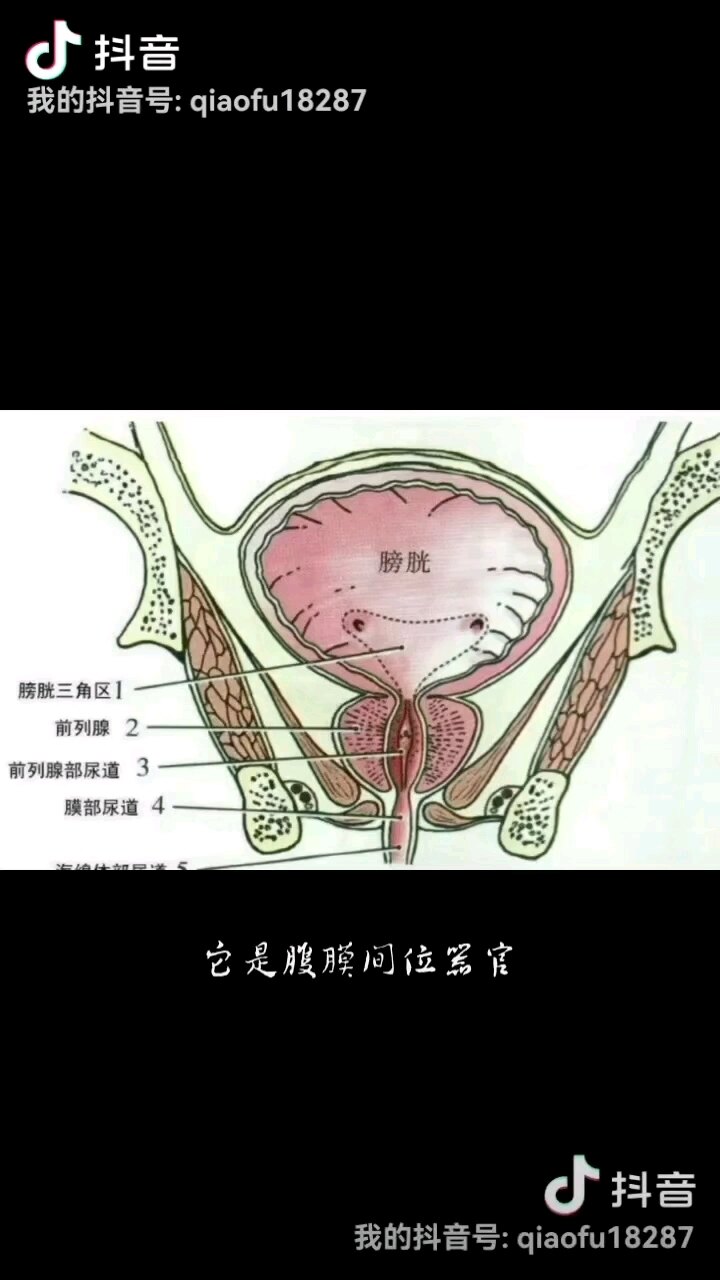 默认图片