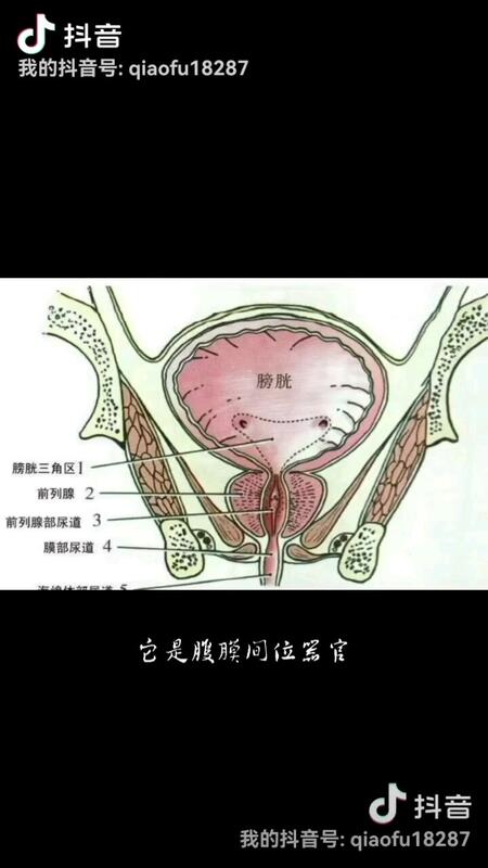 視頻封面