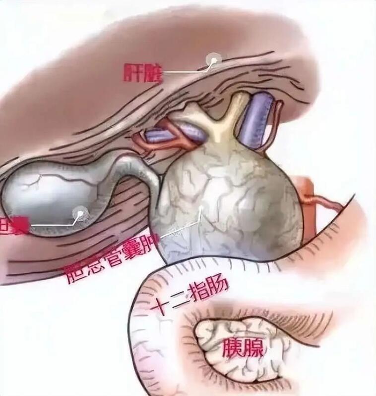 微信图片_20231229152437.jpg