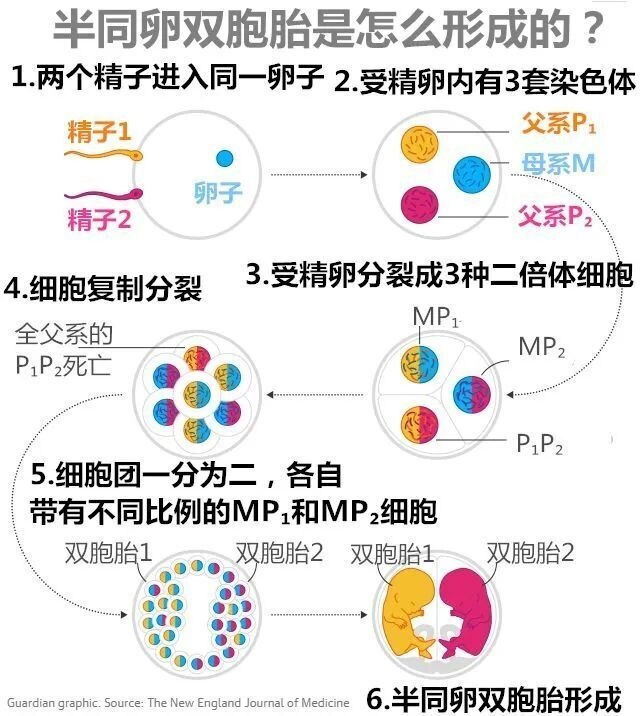 圖文圖片